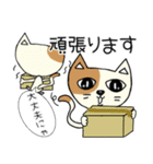 可愛い猫の日常の会話（個別スタンプ：23）