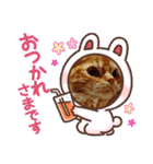 可愛いアメリカンショートヘアねこのルタ（個別スタンプ：5）