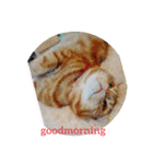 可愛いアメリカンショートヘアねこのルタ（個別スタンプ：6）