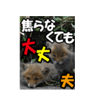 もっと自由にもっと自分らしく03（個別スタンプ：1）