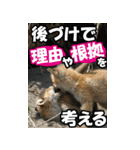 もっと自由にもっと自分らしく03（個別スタンプ：6）