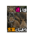もっと自由にもっと自分らしく03（個別スタンプ：8）