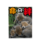 もっと自由にもっと自分らしく03（個別スタンプ：9）
