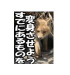 もっと自由にもっと自分らしく03（個別スタンプ：11）