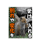 もっと自由にもっと自分らしく03（個別スタンプ：12）