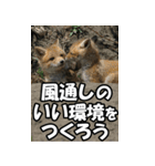 もっと自由にもっと自分らしく03（個別スタンプ：13）