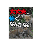 もっと自由にもっと自分らしく03（個別スタンプ：14）