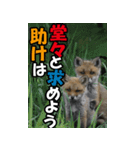 もっと自由にもっと自分らしく03（個別スタンプ：15）