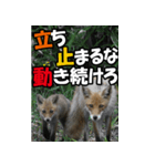 もっと自由にもっと自分らしく03（個別スタンプ：16）