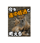 もっと自由にもっと自分らしく03（個別スタンプ：17）
