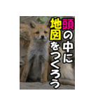 もっと自由にもっと自分らしく03（個別スタンプ：18）