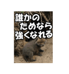 もっと自由にもっと自分らしく03（個別スタンプ：19）