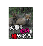 もっと自由にもっと自分らしく03（個別スタンプ：20）