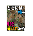 もっと自由にもっと自分らしく03（個別スタンプ：21）