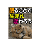 もっと自由にもっと自分らしく03（個別スタンプ：22）