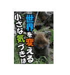 もっと自由にもっと自分らしく03（個別スタンプ：23）