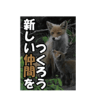 もっと自由にもっと自分らしく03（個別スタンプ：25）