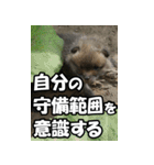 もっと自由にもっと自分らしく03（個別スタンプ：26）
