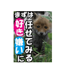 もっと自由にもっと自分らしく03（個別スタンプ：29）