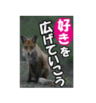 もっと自由にもっと自分らしく03（個別スタンプ：30）
