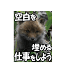 もっと自由にもっと自分らしく03（個別スタンプ：31）