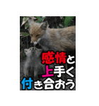 もっと自由にもっと自分らしく03（個別スタンプ：33）