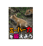 もっと自由にもっと自分らしく03（個別スタンプ：36）