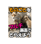 もっと自由にもっと自分らしく03（個別スタンプ：37）