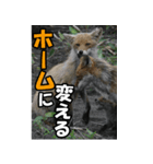 もっと自由にもっと自分らしく03（個別スタンプ：38）