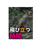 もっと自由にもっと自分らしく03（個別スタンプ：39）