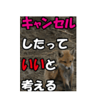 もっと自由にもっと自分らしく03（個別スタンプ：40）