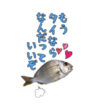 釣り師のスタンプ（個別スタンプ：3）