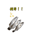 釣り師のスタンプ（個別スタンプ：4）
