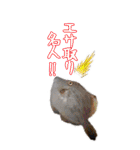 釣り師のスタンプ（個別スタンプ：5）