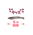 釣り師のスタンプ（個別スタンプ：7）