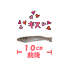 釣り師のスタンプ（個別スタンプ：8）