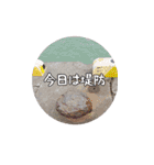 釣り師のスタンプ（個別スタンプ：17）