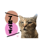 チョコおばあちゃん（個別スタンプ：7）