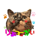 むにむぎ2（個別スタンプ：1）