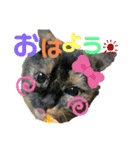 むにむぎ2（個別スタンプ：2）