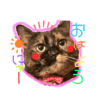 むにむぎ2（個別スタンプ：3）