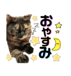 むにむぎ2（個別スタンプ：4）