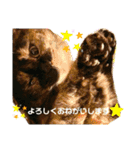 むにむぎ2（個別スタンプ：5）