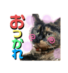 むにむぎ2（個別スタンプ：6）