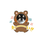 愛犬スタンプチワワ（個別スタンプ：12）