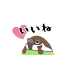 マスカッチュン（個別スタンプ：3）