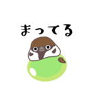 マスカッチュン（個別スタンプ：12）