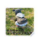 Takaomi's message sticker（個別スタンプ：11）