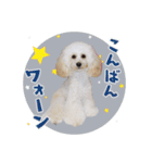 よつばたん2（個別スタンプ：2）