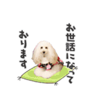 よつばたん2（個別スタンプ：4）